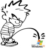 calvinmicrosoft
